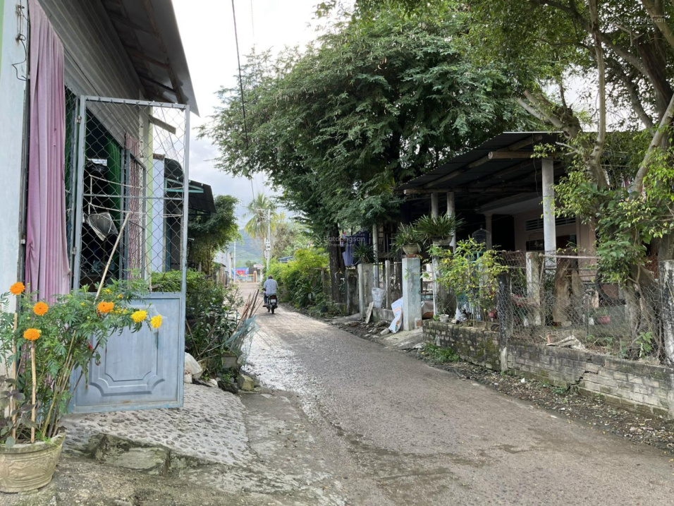 Gia đình cần bán lô đất full thổ cư gần trường mẫu giáo Bình Tường 0976 711 267Thư)