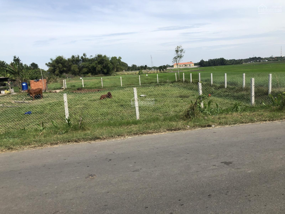 Gia đình cô 8 bán mảnh đất ở Củ Chi để về quê, 1 phần thổ cư, sổ hồng riêng, chính chủ, giá 1,7 tỷ