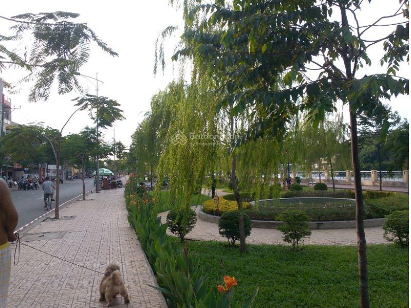 Giảm mạnh 10 tỷ nay chỉ còn 62 tỷ mặt tiền Tầm Vu, 536m2 chỉ 62 tỷ (120tr/m2) - quá rẻ