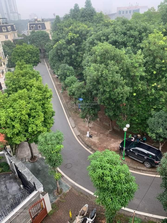 Hoàng Mai. Biệt thự bán đảo Linh Đàm nơi đáng sống. 243m2. 4T. MT 8m. Giá chào 30.5 tỷ