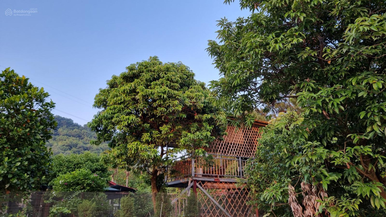 Không có em là cả một niềm tiếc nuối bán 2000m2 đất Lâm Trường Minh Phú nơi thiên đường nghỉ dưỡng