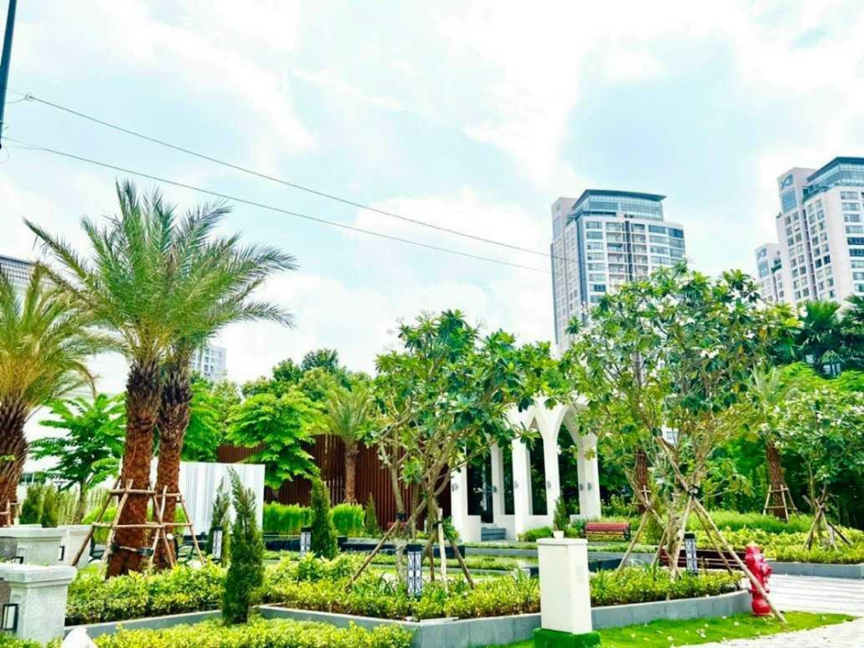 Khuôn đất xây Villa đối diện công viên siêu đẹp phường Thảo Điền, Quận 2, 8x23m, 180m2, 31 tỷ TL