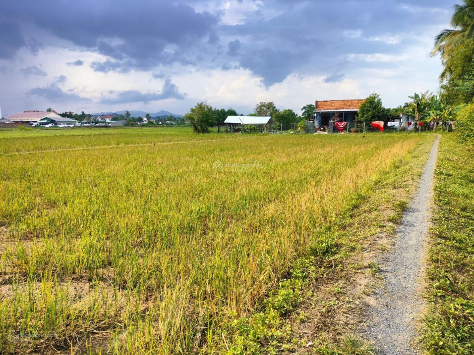 Lạc An, Ninh Thọ - có sẵn thổ - phù hợp phân lô