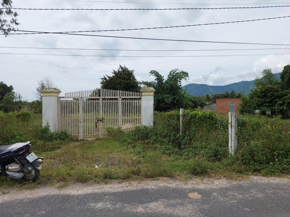 Lô đất vườn mặt tiền đường liên xã giữa Bình Lộc và Suối Tiên qh đường 20m