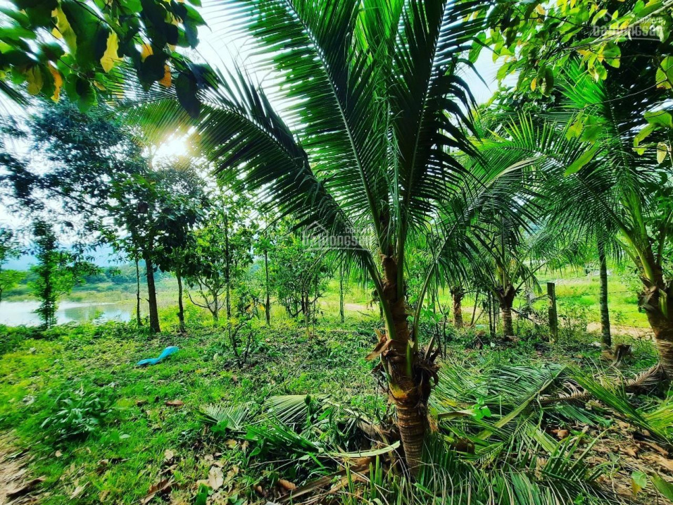 Mặt hồ Am Chúa dài 35m - 1 tỷ 450 triệu