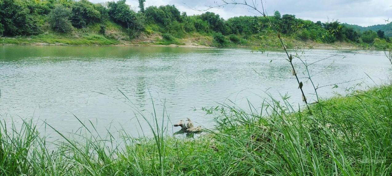 Mặt sông Cái - dài 26m sẵn đất ở