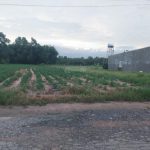  1700m2 - 5