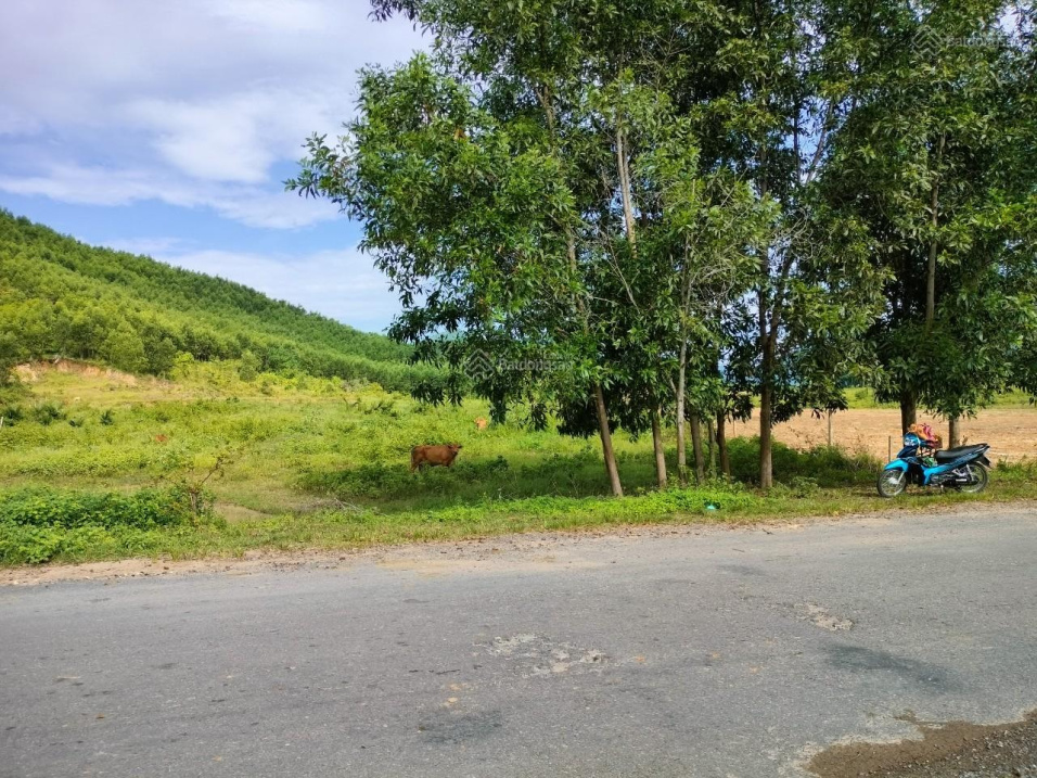 Mặt tiền Tỉnh lộ 5: Dài 27m, phù hợp đất ở 100%