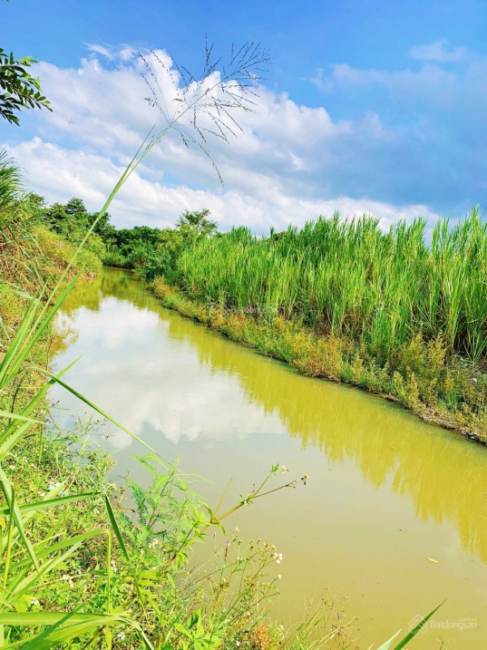 Mini farm suối Diên Điền - đường ô tô tận nơi cần chủ New