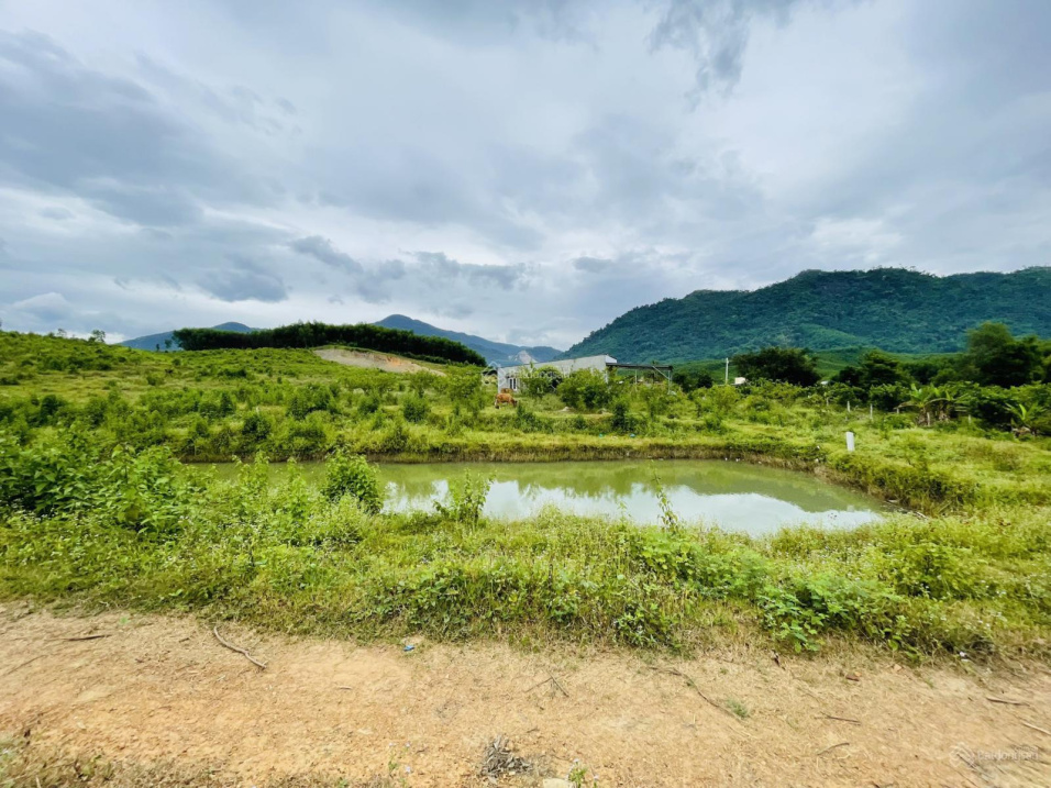 Nhà vườn view siêu đẹp xã Khánh Trung - Khánh Vĩnh