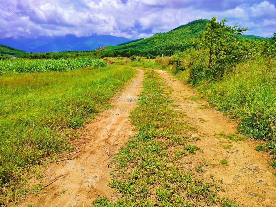 Ninh Xuân đất dân - ngang mặt tiền đường 65m