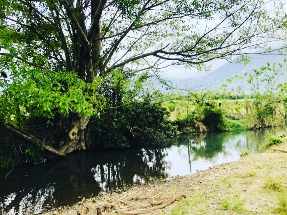 Siêu trang trại 18ha Ninh Thượng - có nuôi heo rừng quy mô lớn