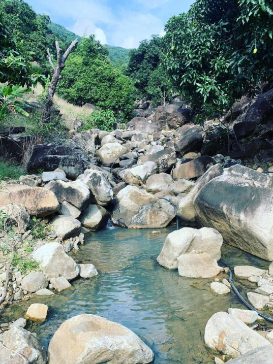 Suối Đá Am Chúa 2ha - nước quanh năm