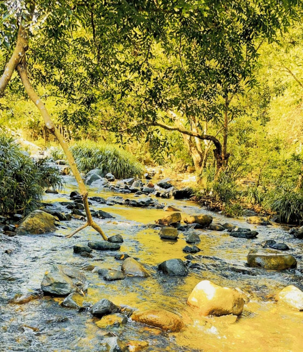 Suối dài gần 2km Ninh Tân - phù hợp làm du lịch sinh thái