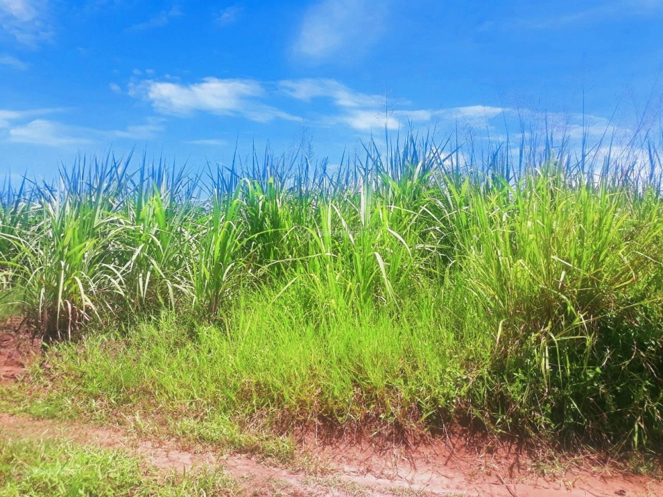 Suối giữa đất Ninh Tân - 38ha đất bằng 90%