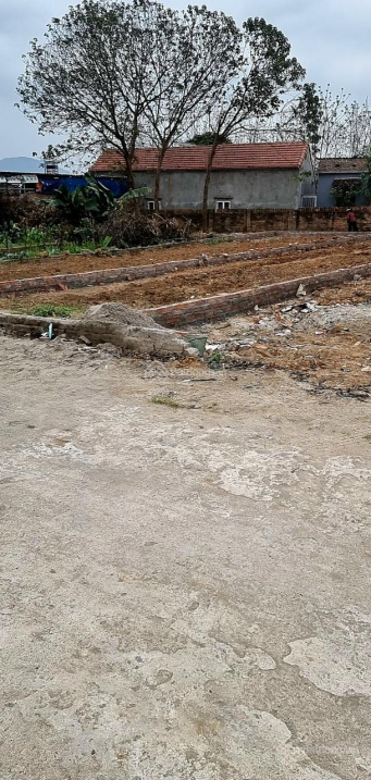 Thanh Trí Minh Phú Sóc Sơn Hà Nội diện tích 100m2, đường ô tô quá đẹp dễ thanh khoản cho nhà ĐT