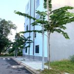  90m2 - 1