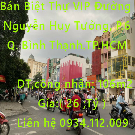 Bán Biệt Thự VIP Đường Nguyễn Huy Tưởng, P.6, Bình Thạnh.TP.HCM