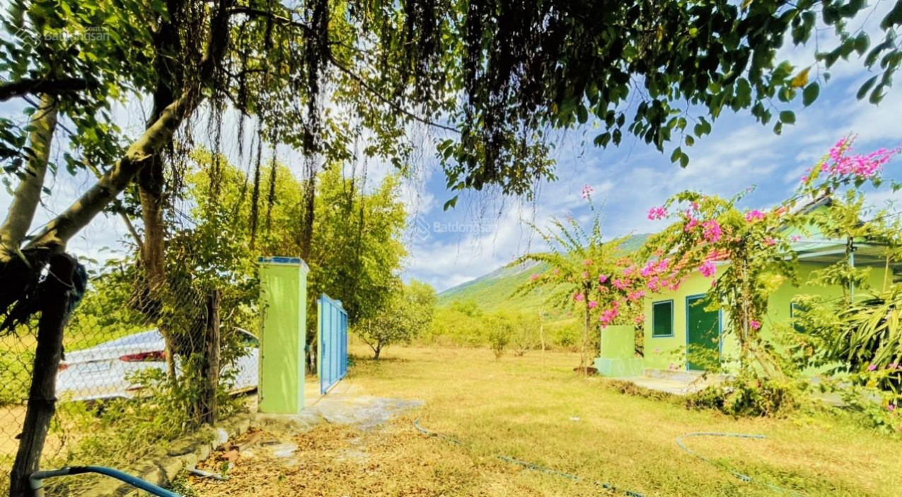 Vườn thanh long, Ninh Đa - Sẵn nhà cấp 4