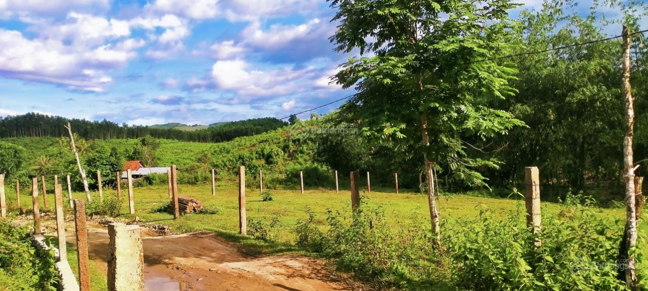 Vườn xã Diên Lâm - suối dài 260m