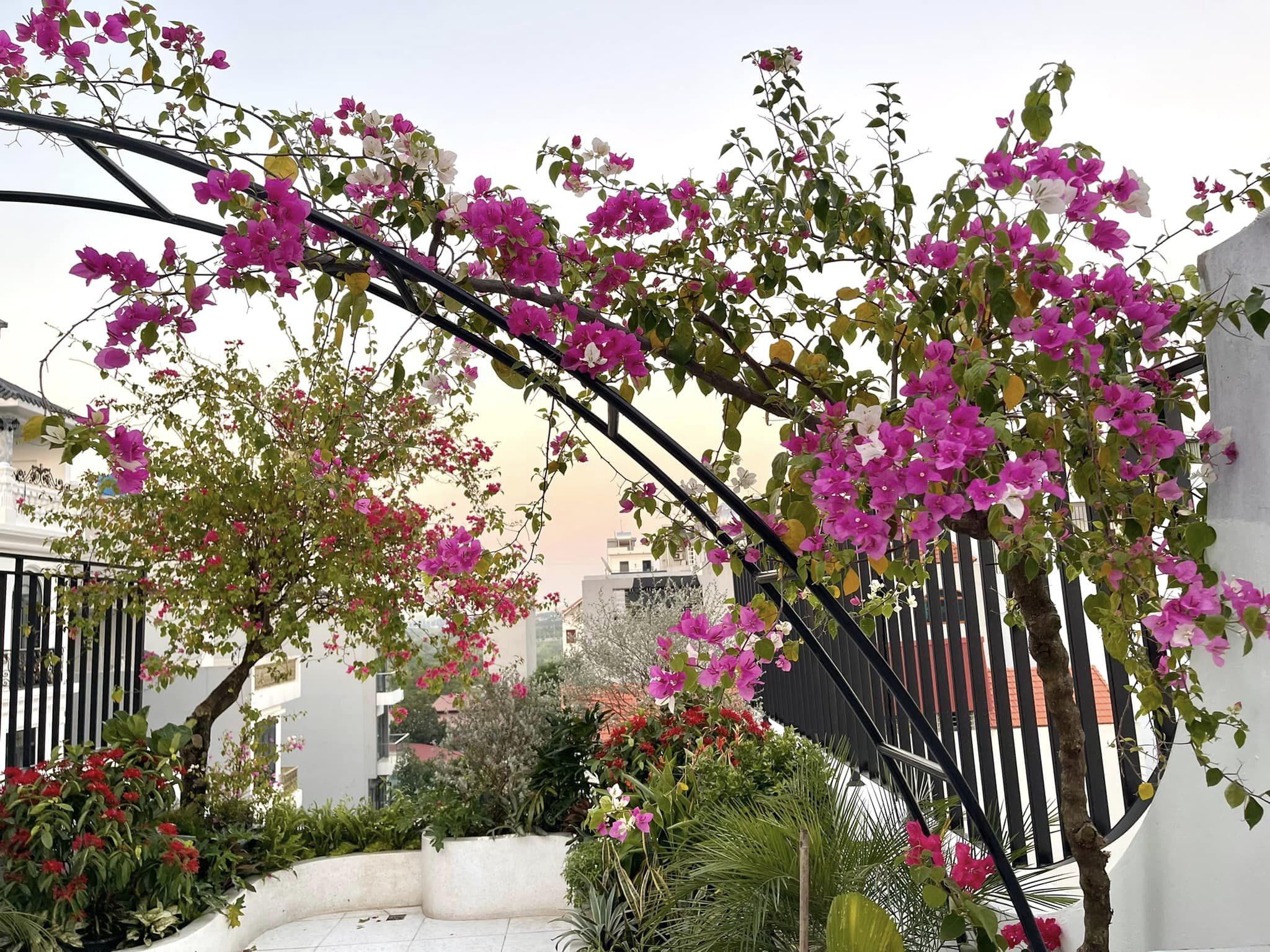 Bán nhà đường Nguyễn Khắc Cần Hoàn Kiếm 6 tầng, mặt tiền 9m siêu khủng