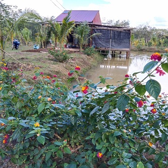 Bán đất thổ cư 48m2 đường Vân Lũng, Xã An Khánh, Hoài Đức, Hà Nội