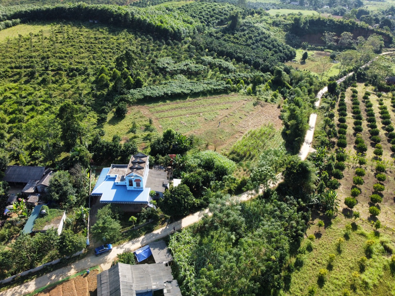 Mảnh đất Tân Lạc 4300m tuyệt đẹp như mơ, 60m bám đường liên xã, có nhiều cây ăn quả