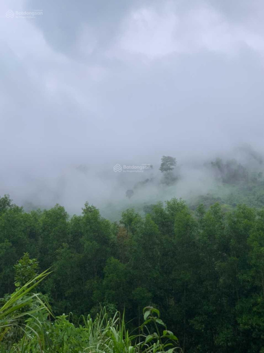 bán đất rộng 95.000m2 xã Khánh Phú, Khánh Vĩnh gần đường YangBay - Tà Gụ