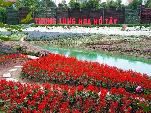 Thông tin về thị trường bán nhà đường Tô Ngọc Vân 4 ban-nha-duong-to-ngoc-van-4