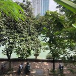  80m2 - 6