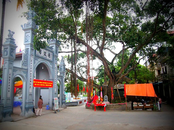 ban-nha-ngo-423-an-duong-vuong-3