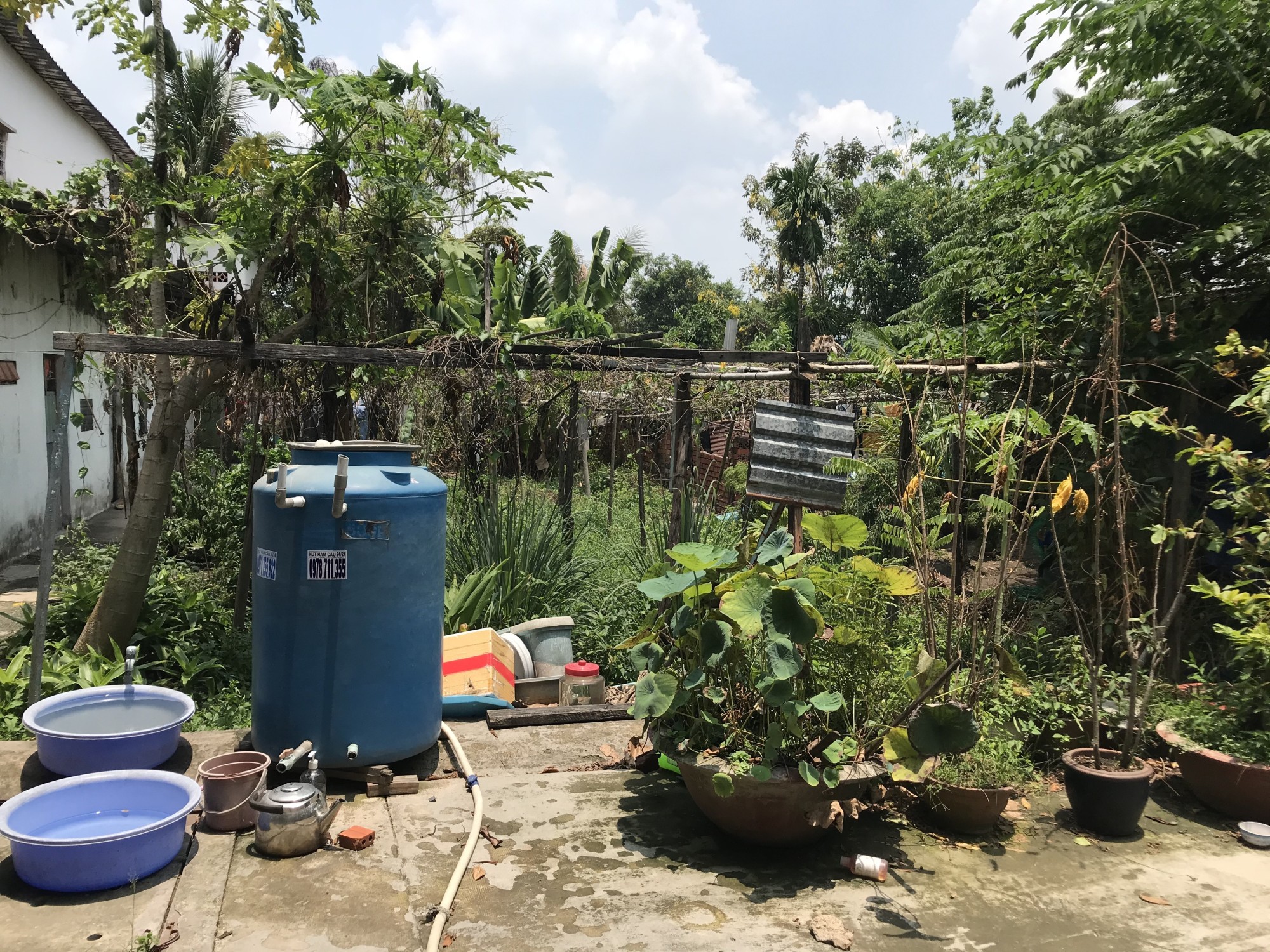 Bán gấp đất, 159m2 ( Full thổ ), an phú đông 9, quận 12, chỉ 6 tỷ 700