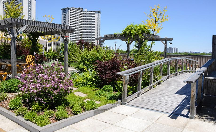 diamond park plaza 1369190 4