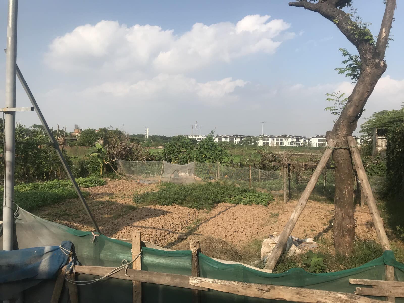 BÁN ĐẤT ĐỨC THƯỢNG, Hoài Đức 96m Ô tô 5m chỉ 3,x tỷ