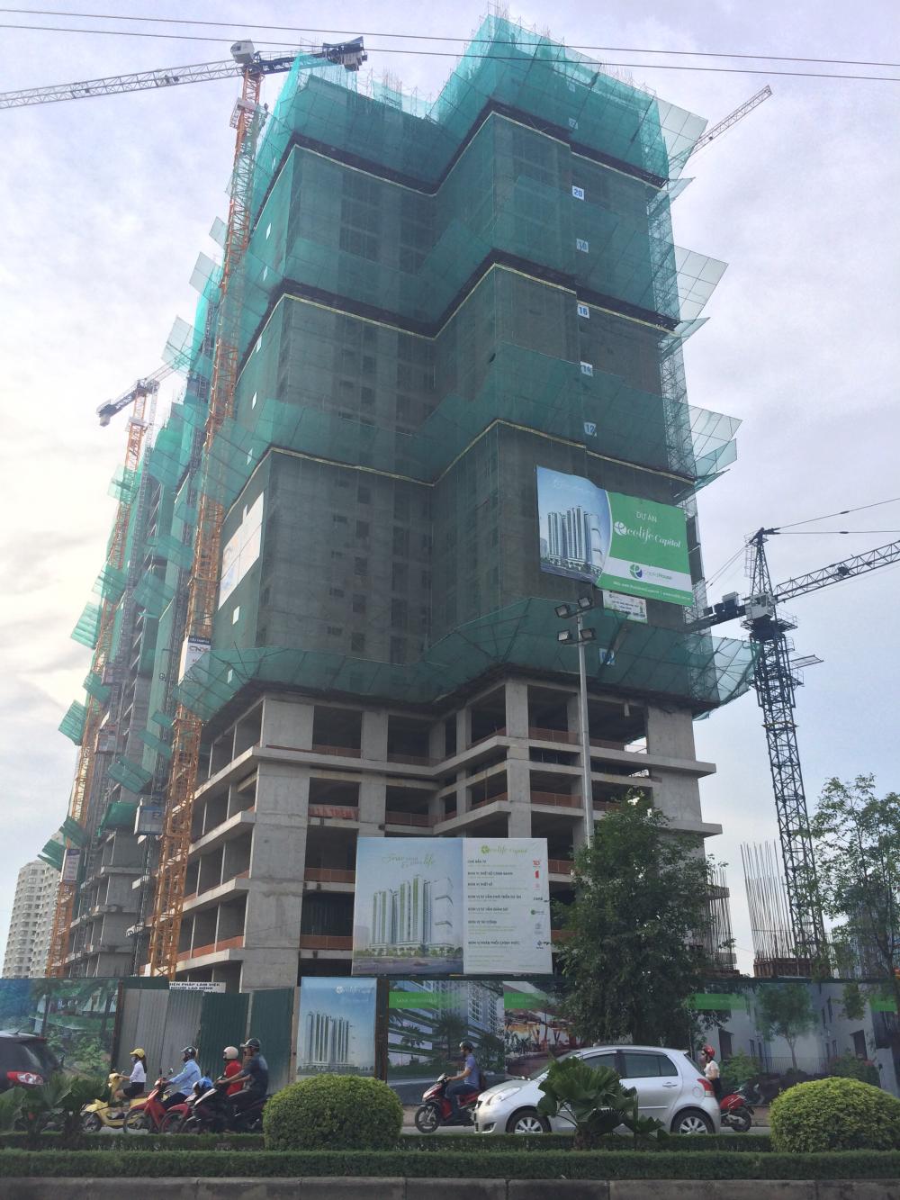 ecolife capitol 1323185 14