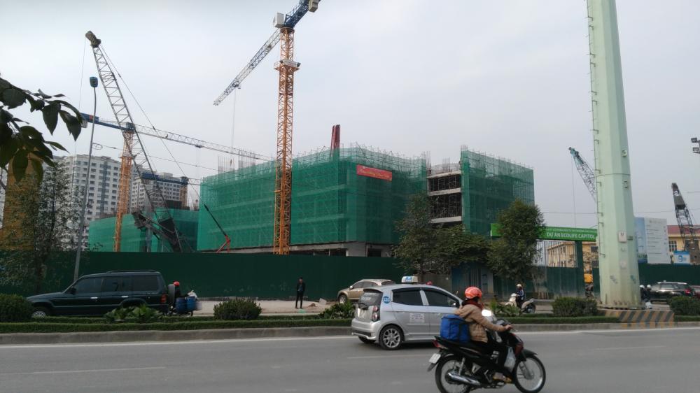 ecolife capitol 1323185 21