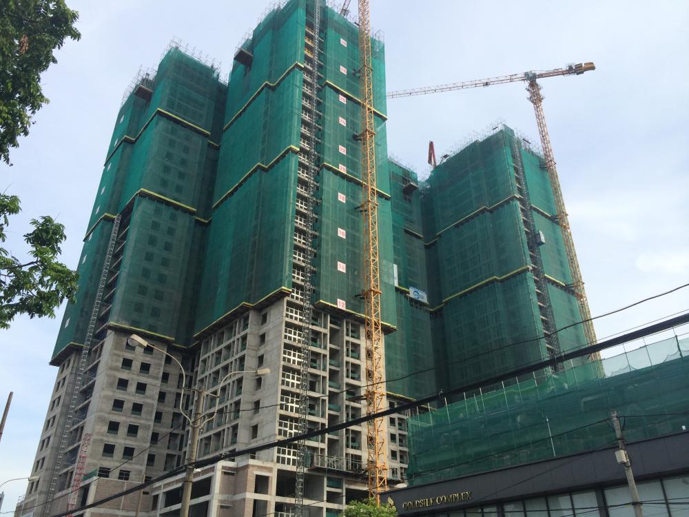 goldsilk complex 1316045 23