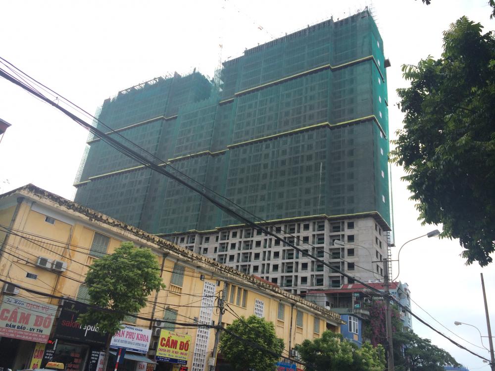 goldsilk complex 1316045 24
