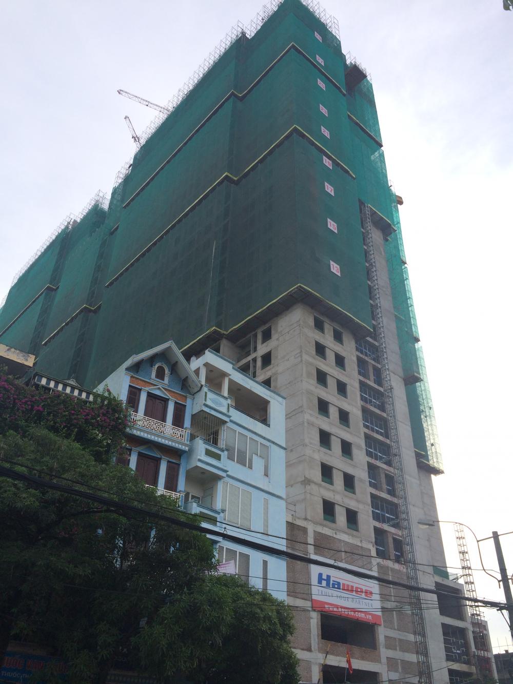goldsilk complex 1316045 25