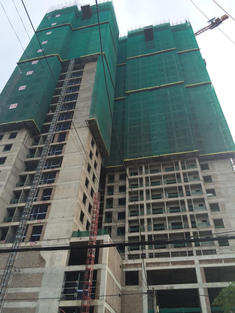goldsilk complex 1316045 26