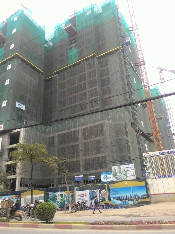 goldsilk complex 1316045 28