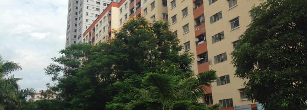 HH3 Linh Đàm 7 hh3 linh dam 1409600 6