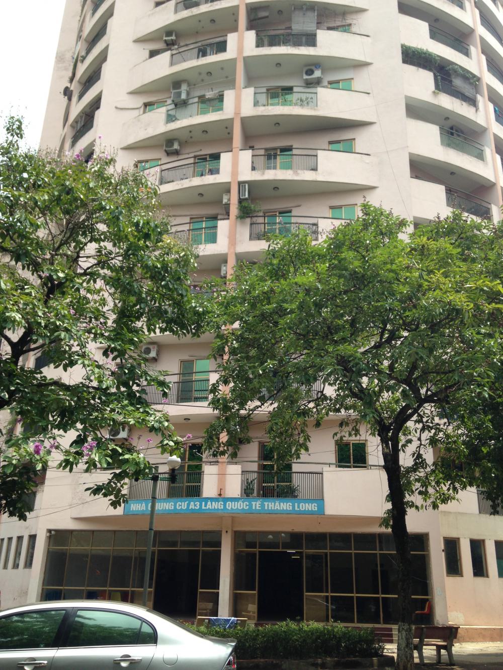 kdt lang quoc te thang long 1281008 6