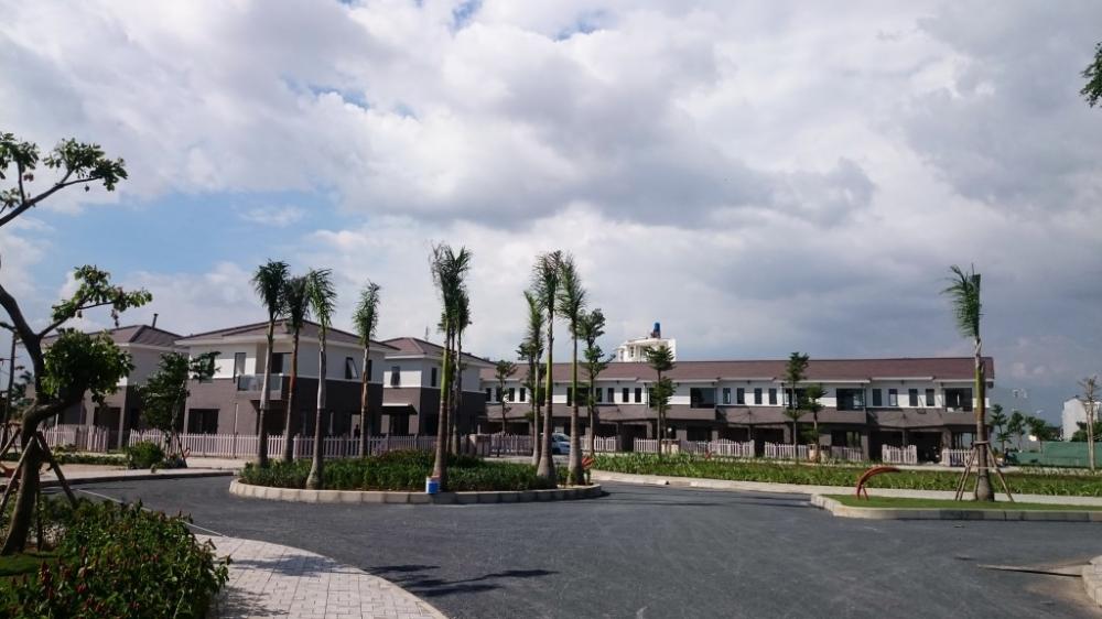 khu dan cu camellia garden 1337717 25