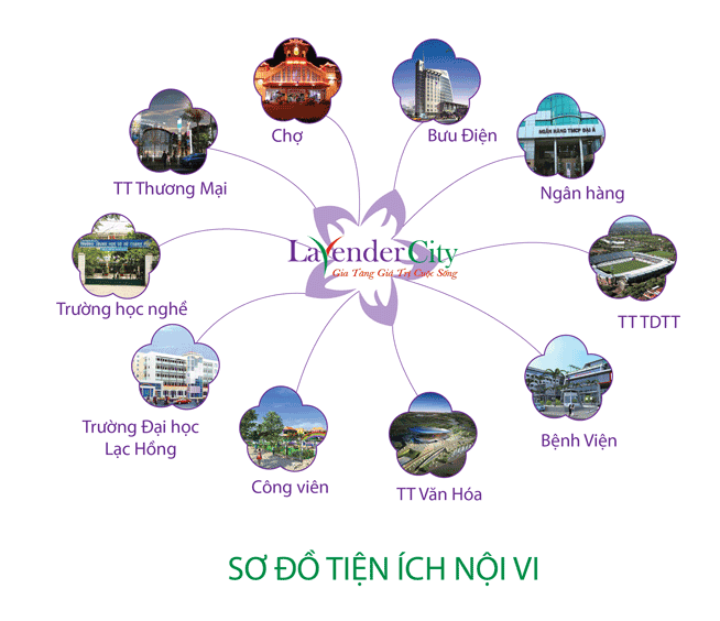 lavender city 1485986 1