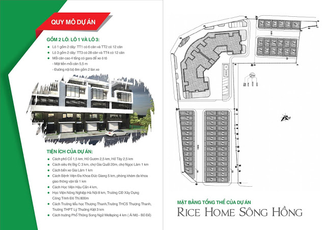 lien ke rice city song hong 1334141 1