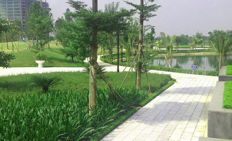 N02-T1 Ngoại Giao Đoàn 2 n02 t1 ngoai giao doan 1356795 1