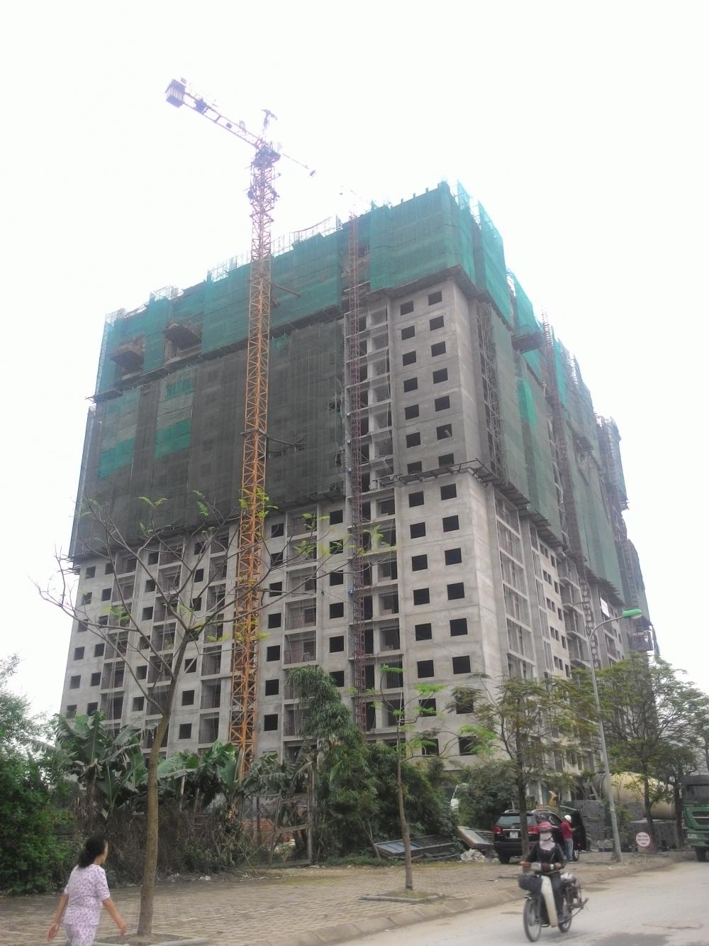 nha o xa hoi dong mo 1317728 8