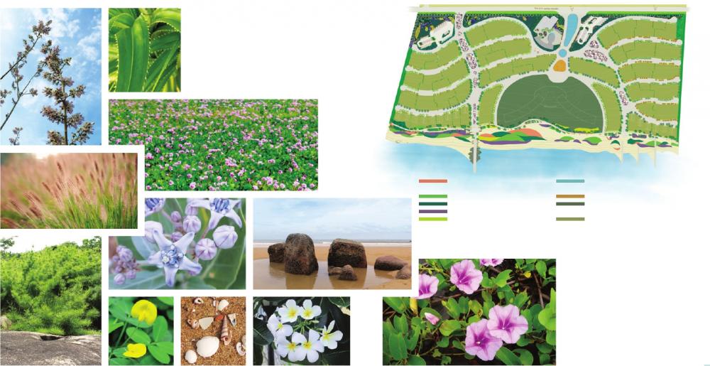 oceanami luxury homes and resort 1317464 18