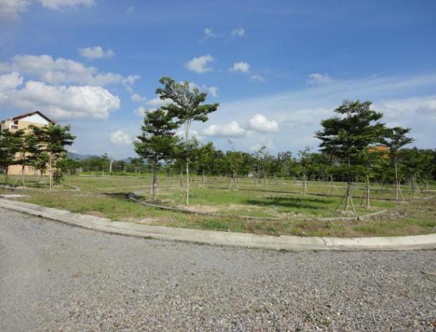 phu my town 1320759 6